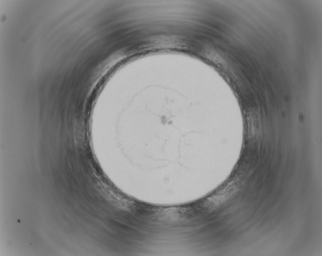 X0000078230828200611171431