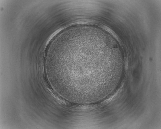 X0000078230829200611171431