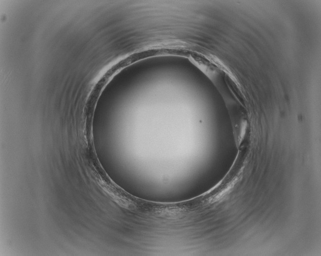 X0000078230830200611171431