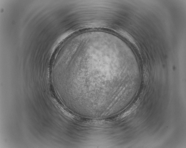 X0000078230831200611171431