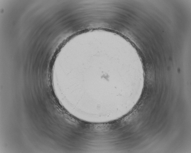 X0000078230832200611171431