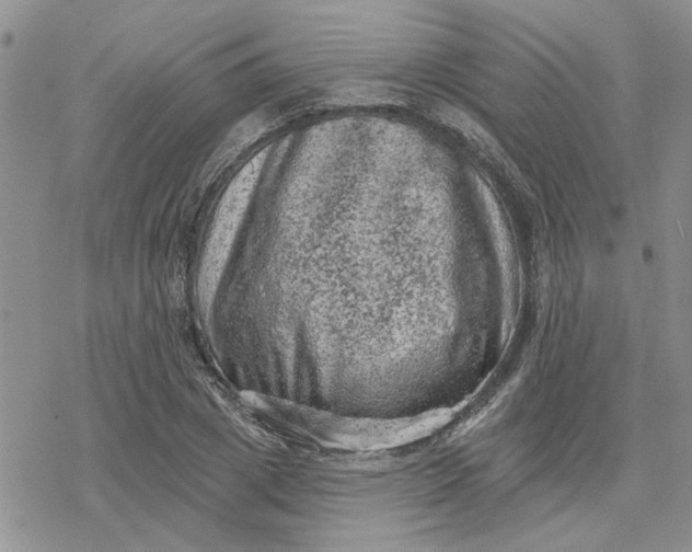 X0000078230833200611171431