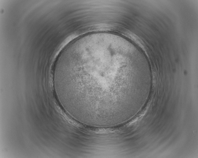 X0000078230835200611171431