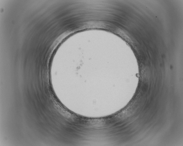 X0000078230836200611171431