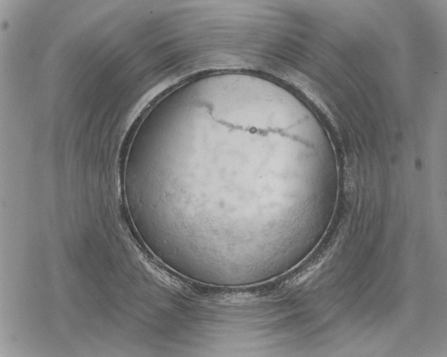 X0000078230837200611171431