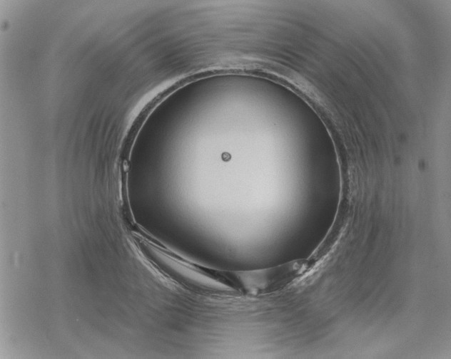 X0000078230838200611171431