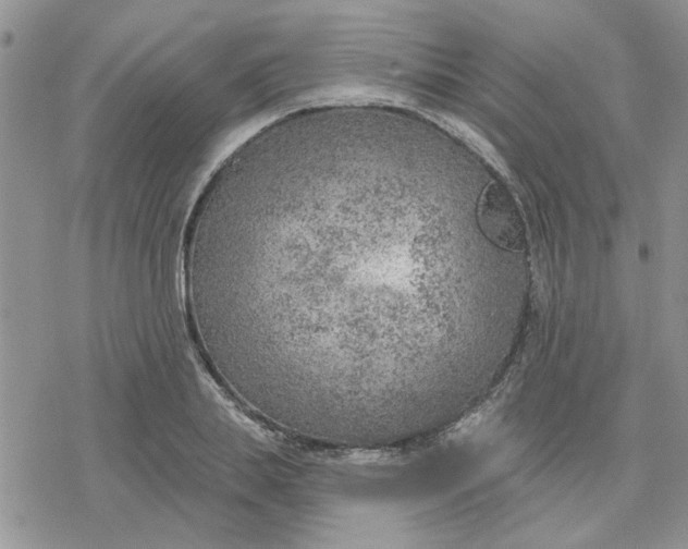 X0000078230839200611171431