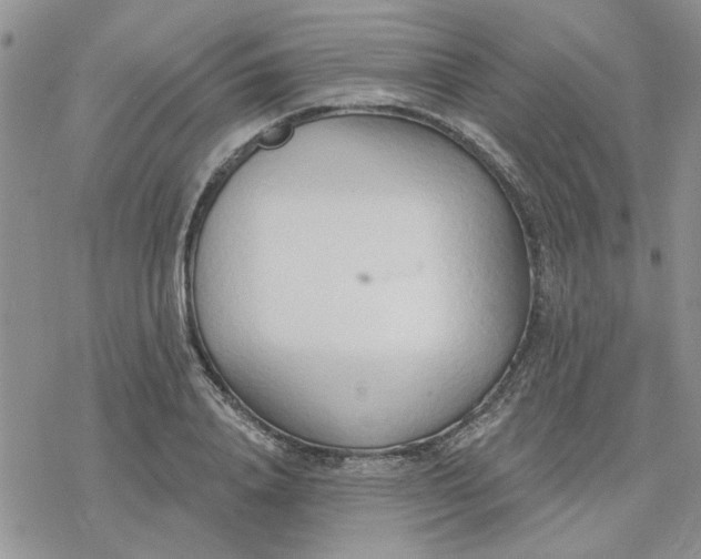 X0000078230840200611171431