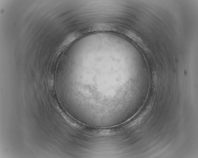 X0000078230841200611171431