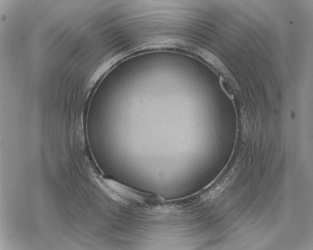 X0000078230842200611171431