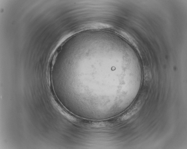 X0000078230843200611171432