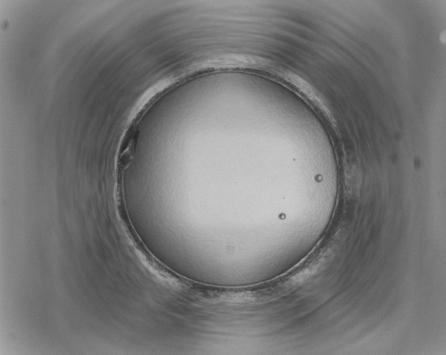 X0000078230845200611171432