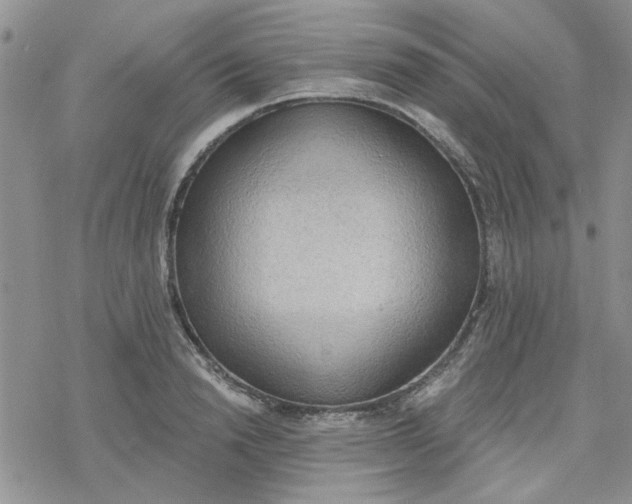 X0000078230846200611171432