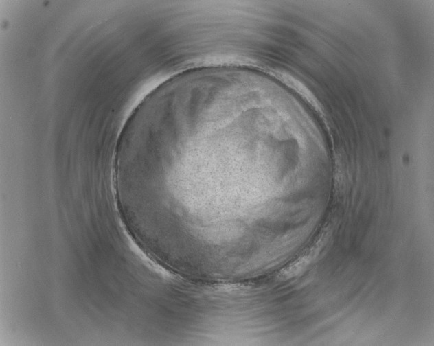 X0000078230847200611171432