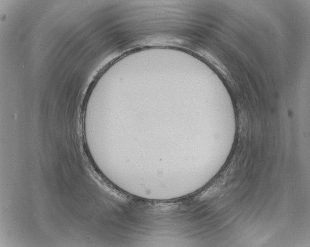 X0000078230848200611171432