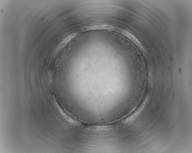 X0000078230849200611171432