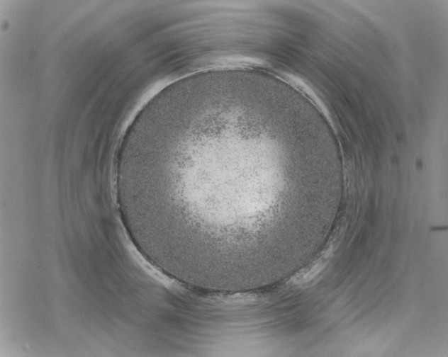 X0000078230851200611171432