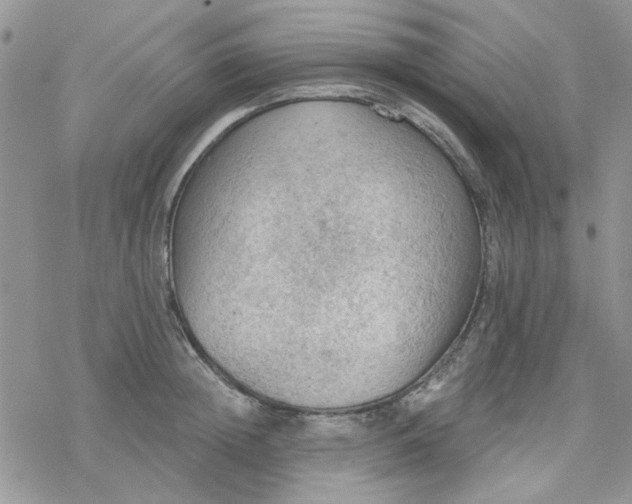 X0000078230852200611171432