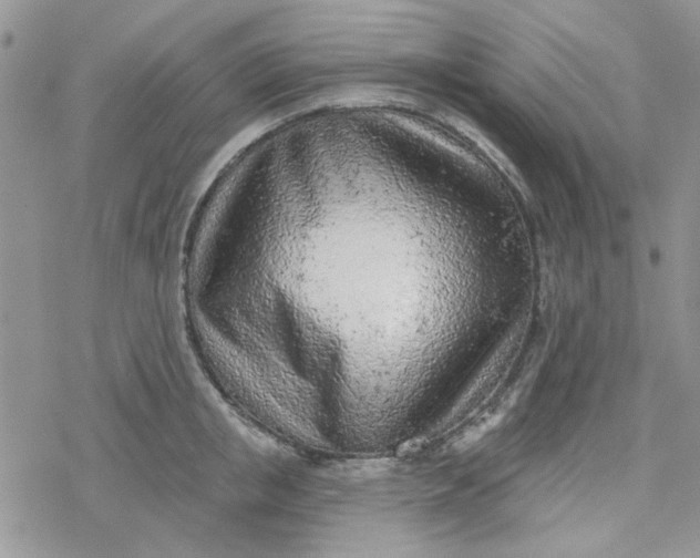 X0000078230853200611171432