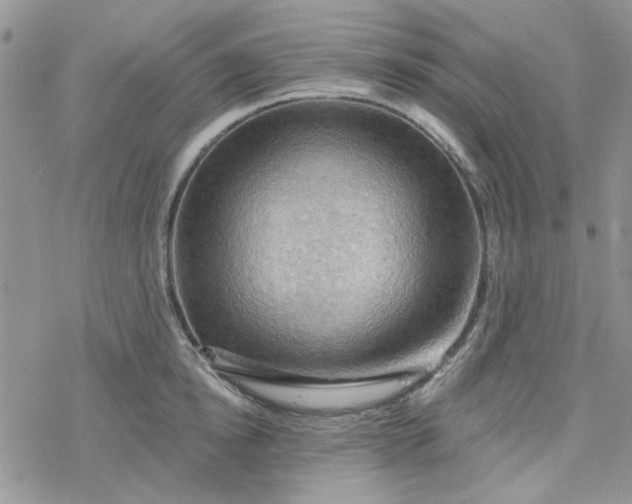 X0000078230854200611171432