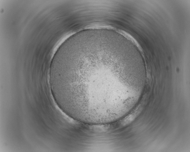 X0000078230855200611171432