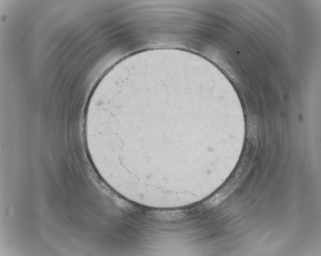 X0000078230856200611171432