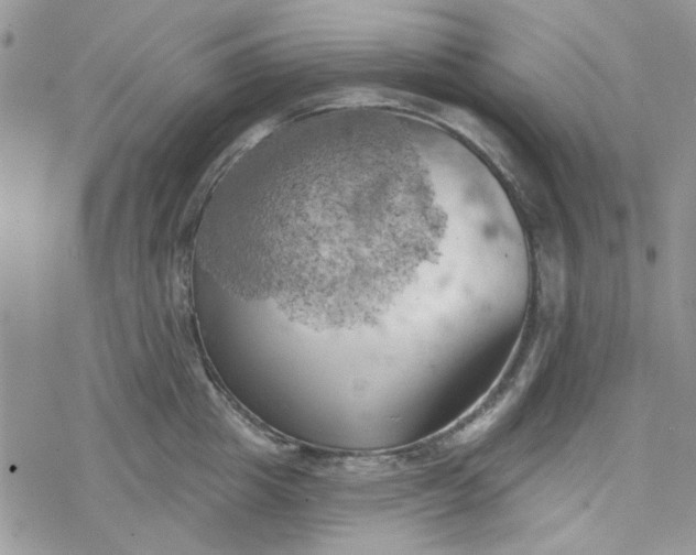 X0000078230857200611171432