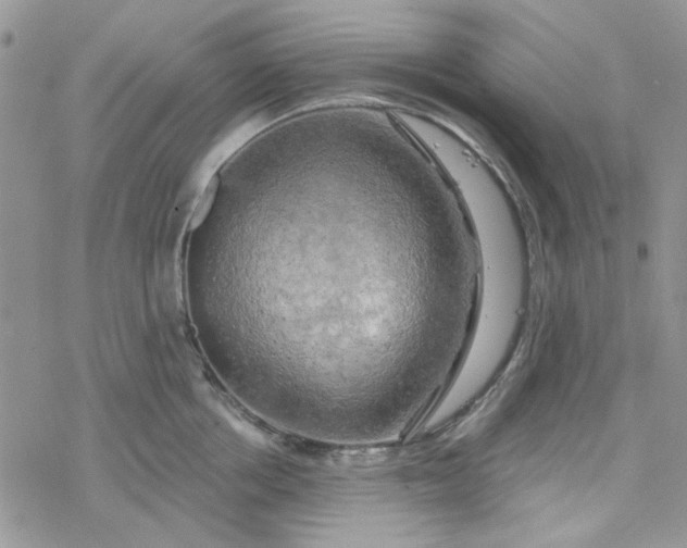 X0000078230858200611171432