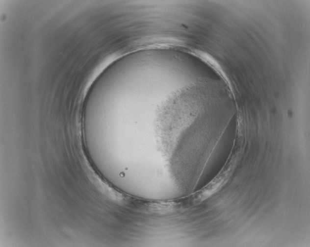 X0000078230859200611171432