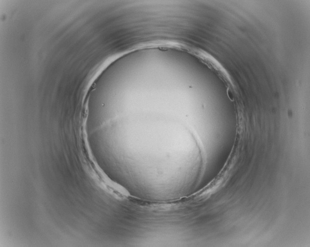 X0000078230860200611171432