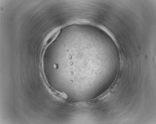 X0000078230861200611171432