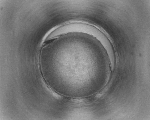 X0000078230862200611171432