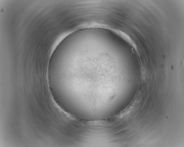 X0000078230863200611171432