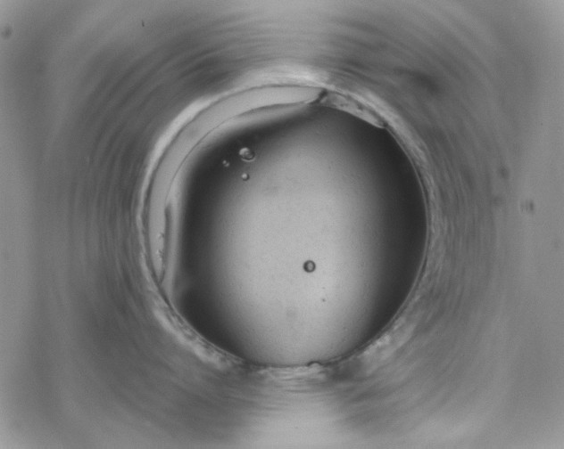 X0000078230864200611171432