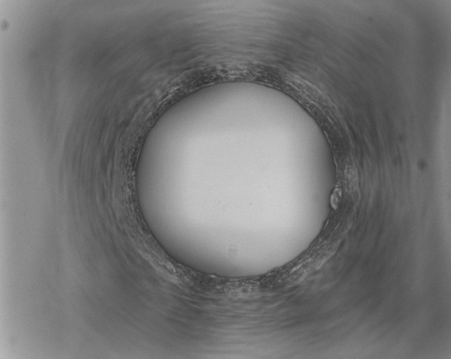 X0000078230865200611171431