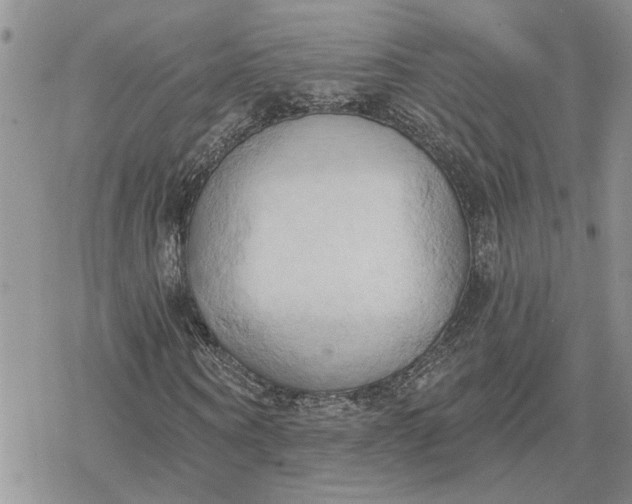 X0000078230866200611171431