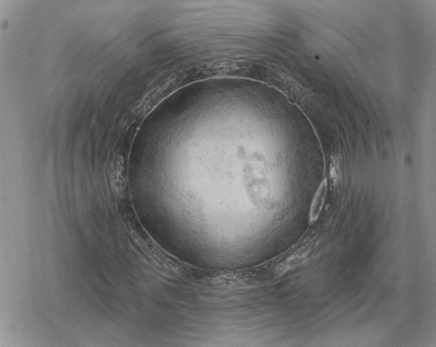 X0000078230867200611171431