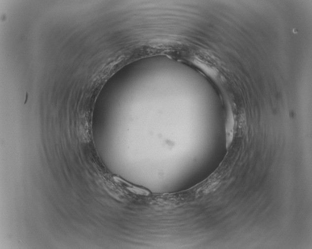 X0000078230868200611171431