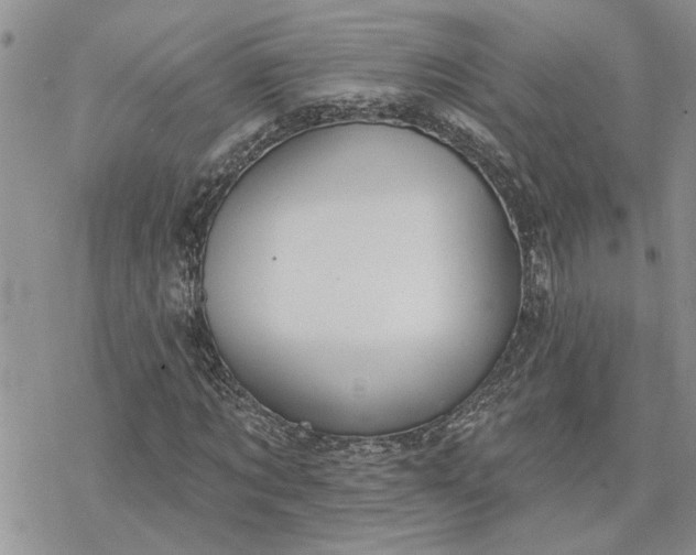 X0000078230869200611171431