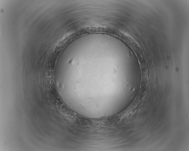 X0000078230870200611171431