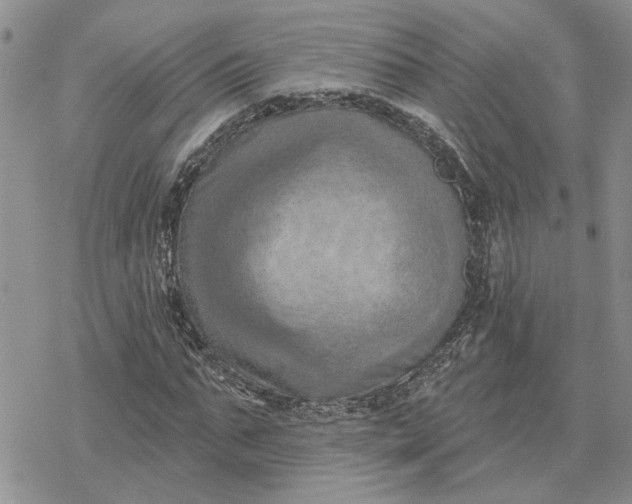 X0000078230871200611171431