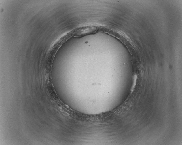 X0000078230872200611171431