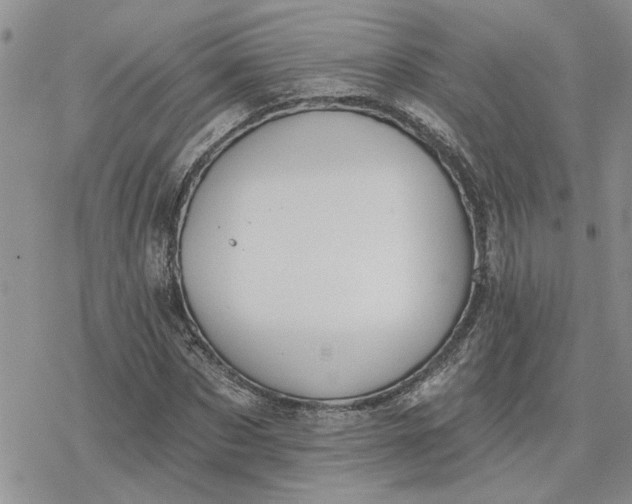 X0000078230873200611171431