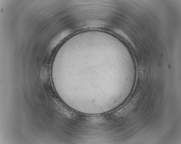 X0000078230874200611171431