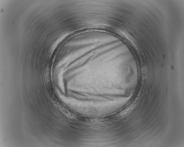 X0000078230875200611171431