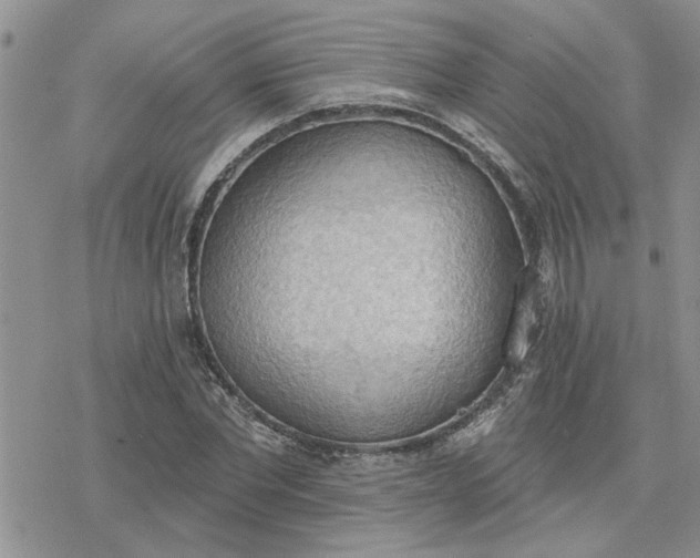 X0000078230877200611171431