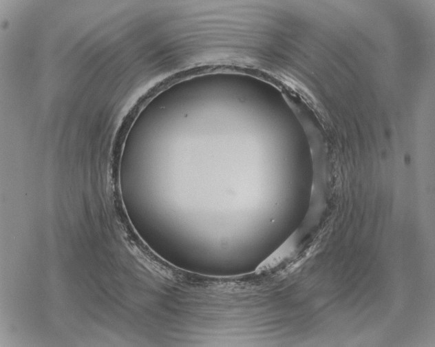 X0000078230880200611171431