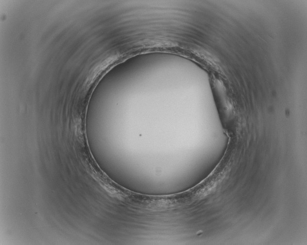 X0000078230881200611171431