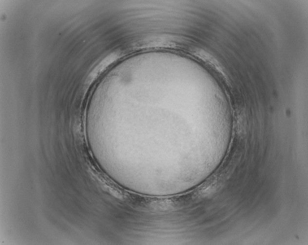 X0000078230882200611171431