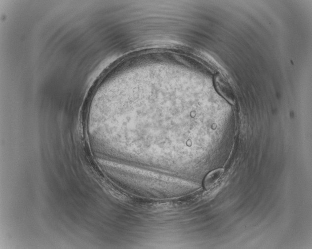 X0000078230883200611171431